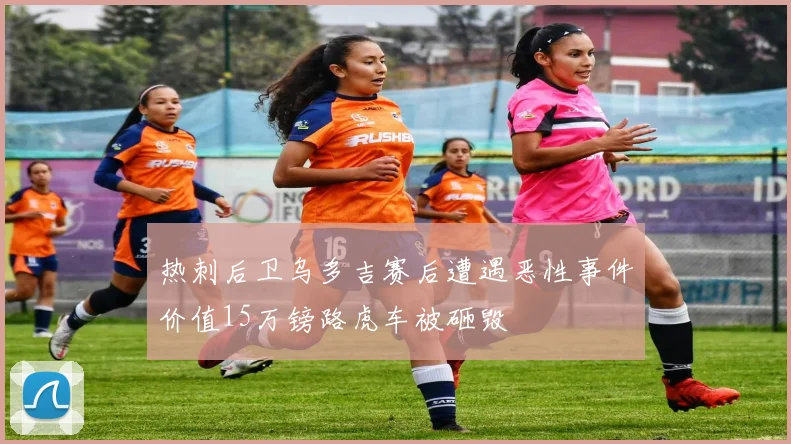 热刺后卫乌多吉赛后遭遇恶性事件价值15万镑路虎车被砸毁
