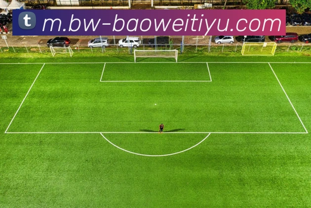 宝威体育服务体系